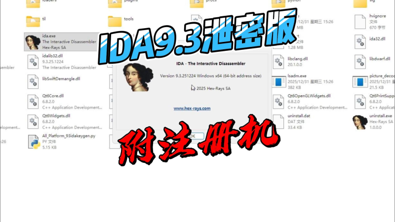 【全平台】IDA Pro 9.3破解版+汉化补丁-北幕网
