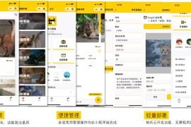 校园流浪猫记录档案小程序模板