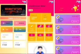 SENNA海外广告奖励投资理财源码/附详细教程