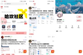 2024新版FANbbs社区圈子源码