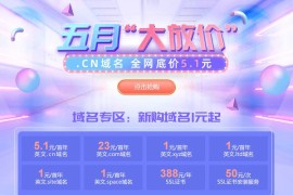 新网cn域名5.1元 网站建设0元
