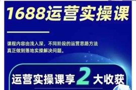 1688最新实战运营 0基础学会1688实战运营，电商年入百万不是梦