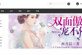 狂雨小说网站开源源码 带联盟采集