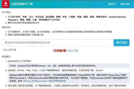 2024最新视频去水印源码