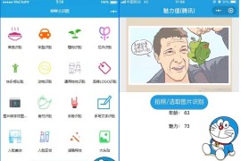 多功能AI图像识别与智能交互小程序源码