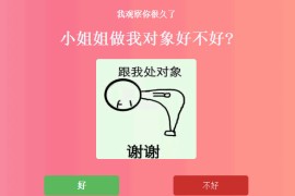 抖音上很火的表白源码网页版