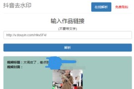 抖音在线去水印网站PHP源码