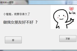 抖音热门很火的表白整蛊源码