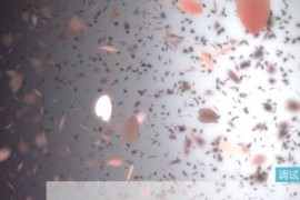 iapp源码我爱你表白可以修改