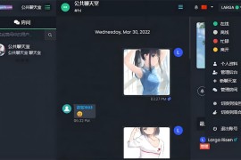 最新公共聊天室ChatNetV1.11-V1.9源码 完整汉化版