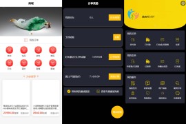 多用户挂售转卖竞拍商城源码 NFT数字藏品系统源码
