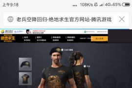 美化版绝地求生diao鱼源码