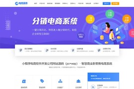 小程序电商软件开发公司pbootcms网站模板