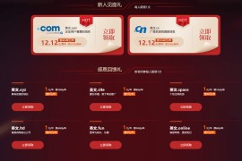 新网双12 COM/CN域名12元