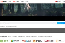 七星全网VIP解析PHP改版源码