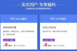 新网新用户免费撸域名 6个选
