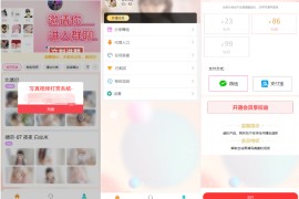 2025最新图片写真视频打赏系统源码 测试可用带教程