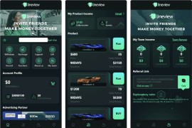 lineview海外汽车投资理财源码/前端html+后端PHP