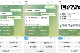 TG个人发卡机器人系统源码 支持双语言 二次开发版本