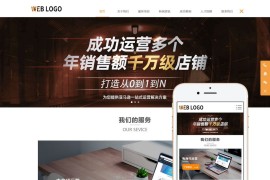 响应式亚马孙店铺代运营企业织梦网站模板