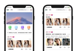 2025全新开源的StarFree简约唯美论坛源码