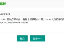 抖音无水印视频解析 html源码
