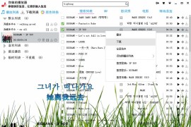 你妹的播放器全套源码功能齐全