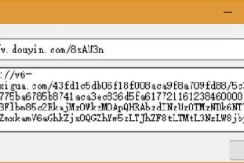 抖音无水印解析纯源码+成品