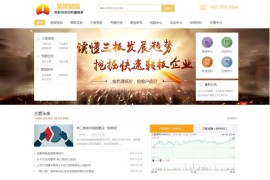 投资理财资讯类织梦网站模板