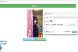 抖音无水印解析网站源码半开源