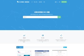 SEO在线检测优化分析网站源码
