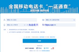 使用“一证通查”查询名下所有运营商电话卡