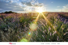 七款表白网页源码静态HTML5