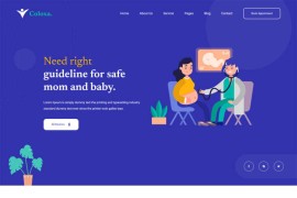 妇科产检医疗机构html网站模板