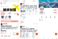 2024新版FANbbs社区圈子源码